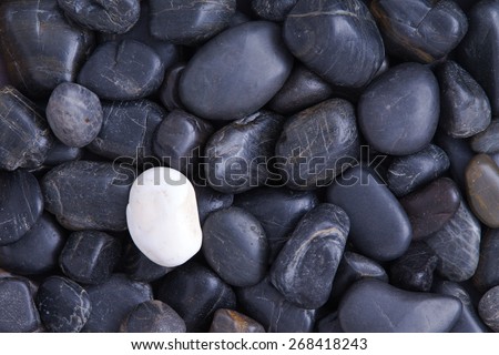 black singles in basalt Black basalt is still one of the best stones manufactured and used to produce high quality wares the black basalt was manufactured from reddish-brown clay that was burnt in red hot fire until black compared to the local egyptian black wares that were being produced in the early years, black basalt were more superior in the general. black singles in basalt Black basalt is still one of the best stones manufactured and used to produce high quality wares the black basalt was manufactured from reddish-brown clay that was burnt in red hot fire until black compared to the local egyptian black wares that were being produced in the early years, black basalt were more superior in the general.