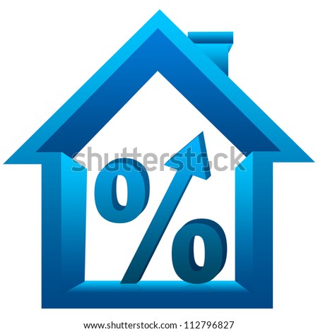 Startup stock options percentage