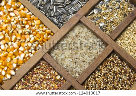 bird eating seeds stock photos images pictures bird eating seeds stock photos images pictures