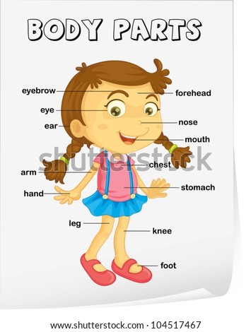 Cartoon Body Parts Stock Photos, Images, & Pictures | Shutterstock