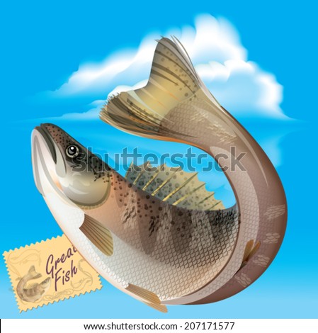 Salmon Jumping Stock Photos, Images, & Pictures | Shutterstock