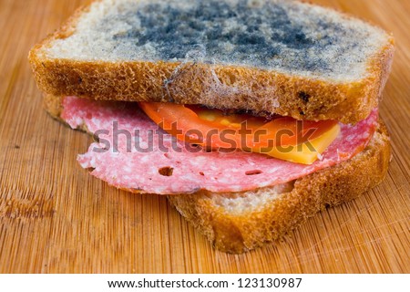 stock-photo-moldy-sandwich-with-salami-tomatoes-on-a-chopping-board-123130987.jpg