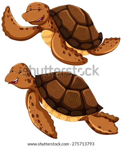 Turtle Cartoon Stock Photos, Images, & Pictures 