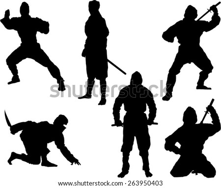 Ninja Stock Photos, Images, & Pictures | Shutterstock