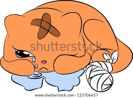 Injured Cat Stock Photos, Images, & Pictures | Shutterstock