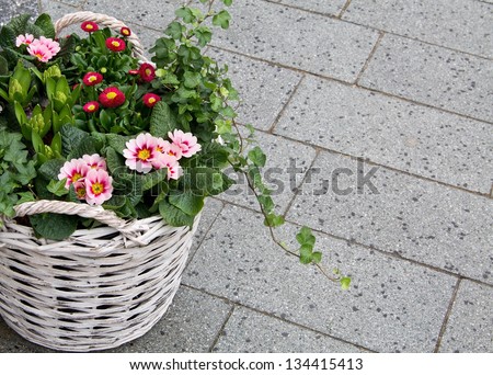 Hanging-flower-basket Stock Photos, Images, & Pictures | Shutterstock