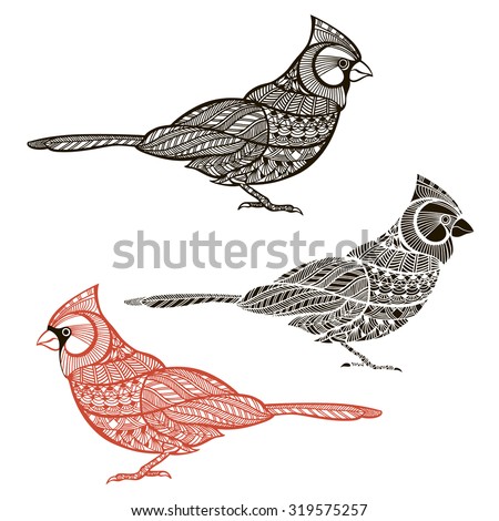 Cardinal. Set of birds isolated on white background. Hand drawn vector