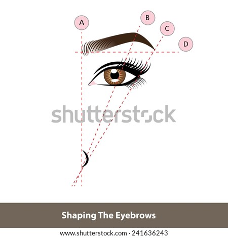 Eyebrows Stock Photos, Images, & Pictures | Shutterstock