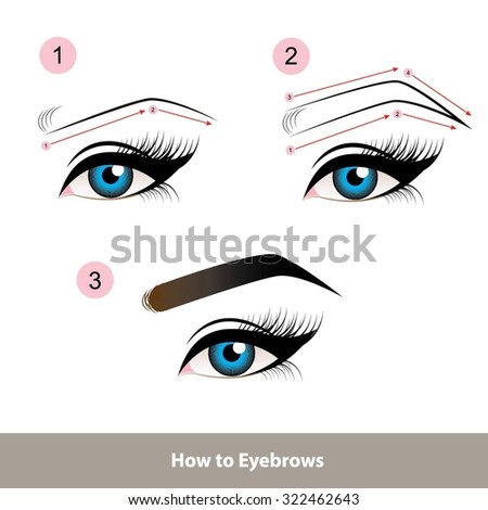 Eyebrows Stock Illustrations & Cartoons | Shutterstock