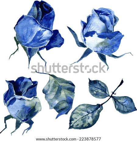 Blue Rose Stock Photos, Images, & Pictures | Shutterstock