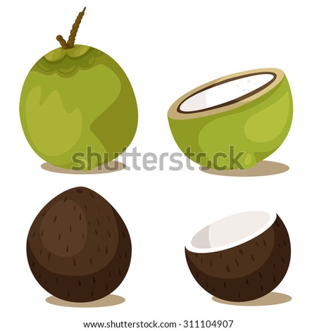 Coconut Oil Stock Vectors & Vector Clip Art | Shutterstock