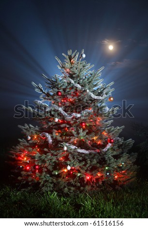 different christmas tree stock photos images pictures different christmas tree stock photos images pictures