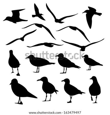 Seagulls Flying Stock Photos, Images, & Pictures | Shutterstock