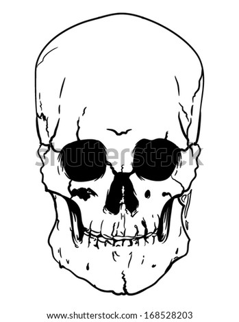 Skeleton head Stock Photos, Images, & Pictures | Shutterstock