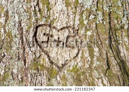 Heart Carved Tree Stock Photos, Images, & Pictures | Shutterstock