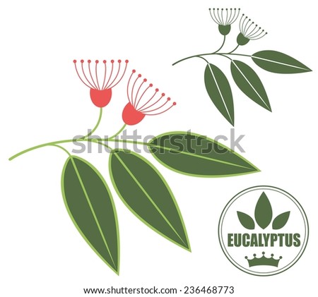 Eucalyptus Branch Stock Vectors & Vector Clip Art | Shutterstock