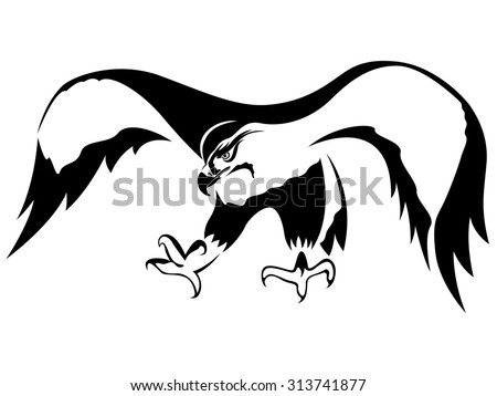 stock-photo-hawk-with-wide-wings-outstre