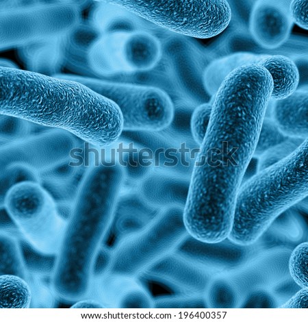 Bacteria Germ Pictures 80