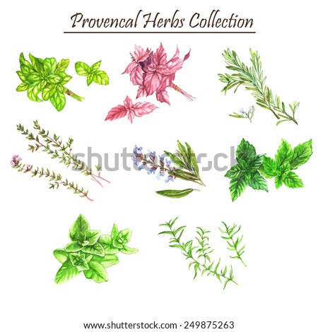 herbal medicine topic