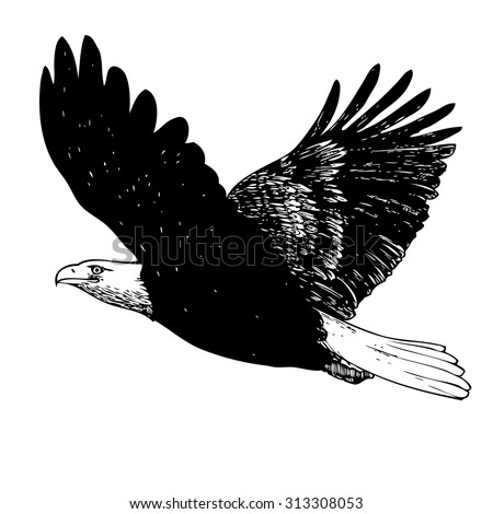Black and white eagle, hand drawn on white background - stock vector