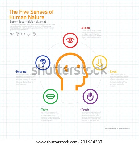 the human senses Sight hearing smell/taste touch the 6th sense snakes senses range from nonexistent to beyond belief please note ahead of time that nothing below is universal for all snakes there will always be an exception to the rule and each snake has it's senses. the human senses Sight hearing smell/taste touch the 6th sense snakes senses range from nonexistent to beyond belief please note ahead of time that nothing below is universal for all snakes there will always be an exception to the rule and each snake has it's senses.