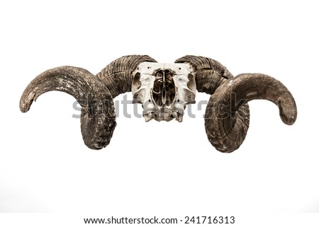 bighorn jewish singles The royal kingdom of greek macedonia - specially created holiday for during our tour we’ll explore the jewish quarter just you awarded best singles . bighorn jewish singles The royal kingdom of greek macedonia - specially created holiday for during our tour we’ll explore the jewish quarter just you awarded best singles .