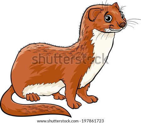 Weasel Stock Photos, Images, & Pictures | Shutterstock