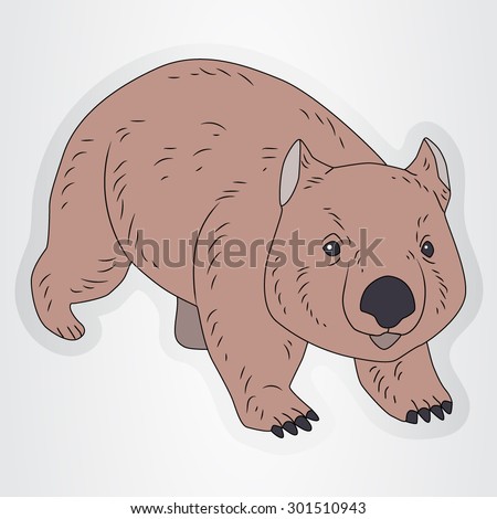 Wombat Stock Photos, Images, & Pictures | Shutterstock