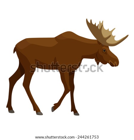 Moose Stock Photos, Images, & Pictures | Shutterstock