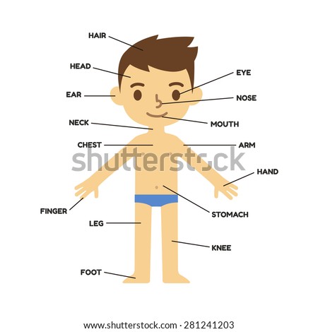 Cartoon Body Parts Stock Photos, Images, & Pictures ...