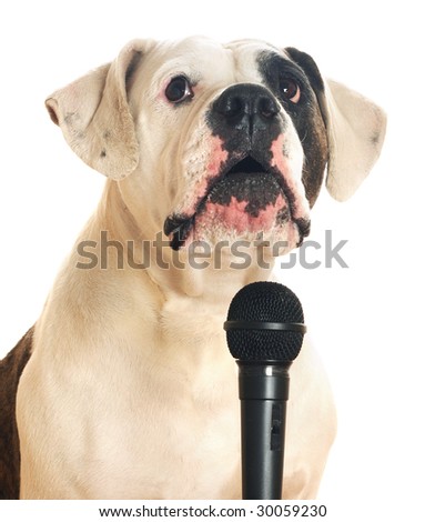 cing with dogs singing stock photos images pictures cing with dogs singing stock photos images pictures