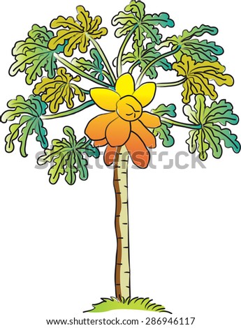 Papaya Tree Stock Vectors & Vector Clip Art | Shutterstock
