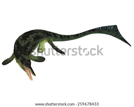 Ichthyosaur Stock Photos, Images, & Pictures | Shutterstock