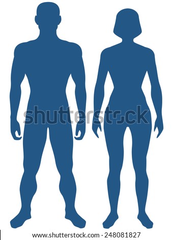 male and female body sketch