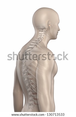 Lordosis Stock Photos, Images, & Pictures | Shutterstock