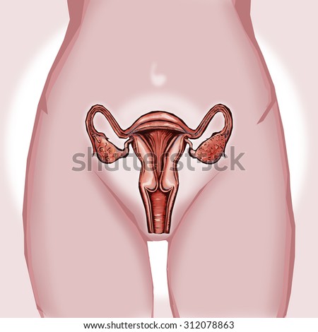 Sexy Uterus Pic 105