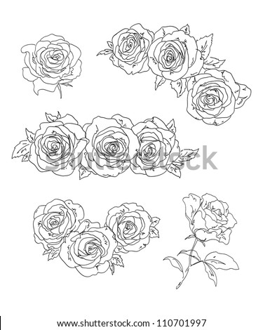 Roses. Vector illustration. - stock vector