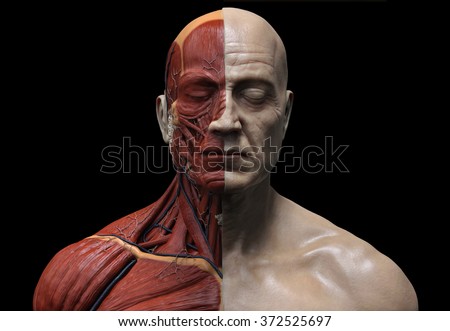 rosacée visage adulte 900 rosacée visage adulte 900