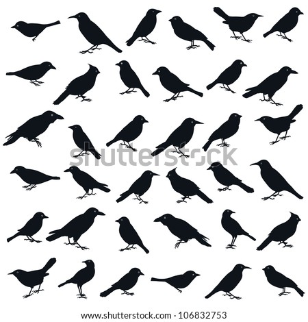 Bird Silhouette Stock Photos, Images, & Pictures | Shutterstock