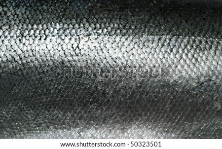 Fish Scales Texture Stock Photos, Images, & Pictures | Shutterstock