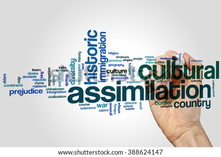 Cultural assimilation essay