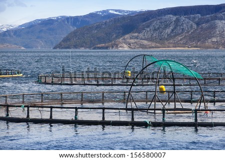 Norwegian fish farm for salmon growing in open sea water - stock photo