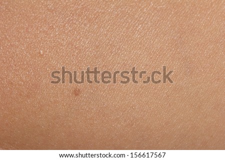 background of the human skin macro stock photo 156617564 human skin texture stock photos images pictures background of the human skin macro stock photo 156617564 human skin texture stock photos images pictures