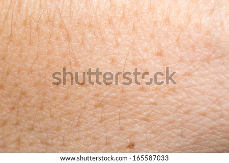 human skin background macro stock photo 165587033 human skin texture stock photos images pictures human skin background macro stock photo 165587033 human skin texture stock photos images pictures