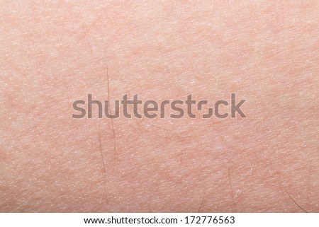 background of the human skin macro stock photo 156617564 human skin texture stock photos images pictures background of the human skin macro stock photo 156617564 human skin texture stock photos images pictures