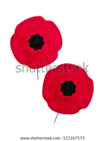 remembrance poppy lapel pins two red canada shutterstock