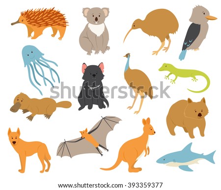 Australian Animals Stock Photos, Images, & Pictures 