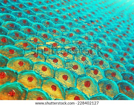 human skin cells stock photos human skin cells stock images alamy skin cells stock photos images pictures human skin cells stock photos human skin cells stock images alamy skin cells stock photos images pictures