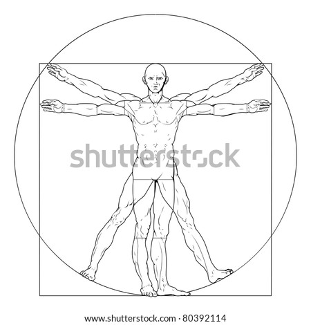 resolution high man vitruvian