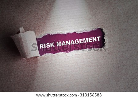 Risk management paper